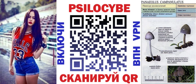 купить наркотики сайты kraken ТОР Псилоцибиновые грибы Psilocybe Аргун